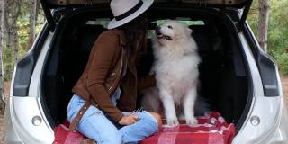 森林里，一个戴着时髦帽子的年轻女人和一只狗坐在后备箱里。和动物一起开车旅行。