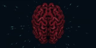AI人工智能数字大脑未来人类大脑接口概念。脑部扫描技术。神经外科诊断