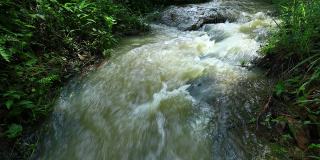 小溪与水流的视图-库存视频