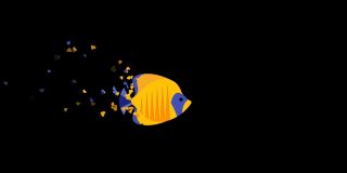 画面定格动画美丽的黄鱼