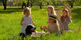 四个穿着条纹裙的可爱小女孩在草坪上和一只狗玩耍