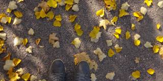 在爱沙尼亚，一个人走在散落的落叶上