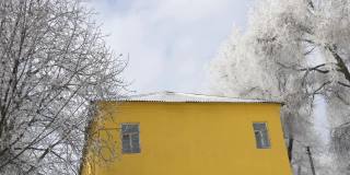 冬日里，白色的树枝在雪地里，映衬着蓝天，旁边是一座有着旧窗框的黄色老房子