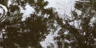 雨点在水面上形成一个水坑，黑色的影子和绿树和天空的倒影