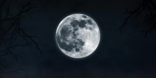 蝙蝠飞行动画。月夜背景上的万圣节蝙蝠。