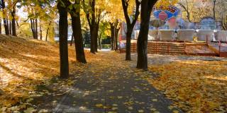空荡荡的人行道上的城市游乐场在秋天，落叶枯黄