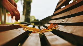 女人的手把秋天黄色的枫叶扔在木凳上。视频素材模板下载