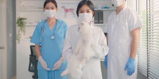 图为在宠物医院工作的兽医师组男女。兽医诊所，专业兽医医生和助手抱着猫，交叉手臂自信地站在那里，看着摄像机