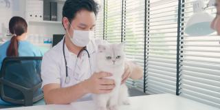 亚洲兽医在兽医诊所预约时为猫检查。在宠物医院，专业兽医男和小猫主人坐在带着听诊器工作的桌子上检查小动物。