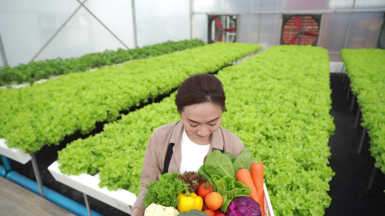 4K亚洲女农民在水培温室种植园拿着一箱蔬菜的肖像。