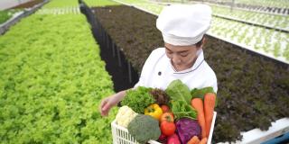 4K人像亚洲女厨师拿着一箱蔬菜在水培温室种植园。