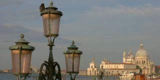 意大利威尼斯灯笼上的鸽子