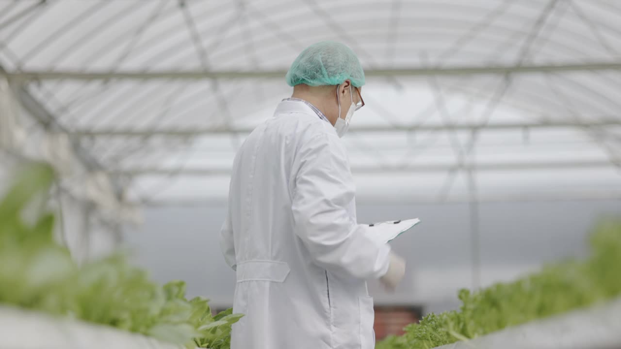 身穿制服的亚洲科学家团队正在测试水培蔬菜的质量达到良好标准。分析蔬菜生长的研究。食品科学技术。大型食品行业