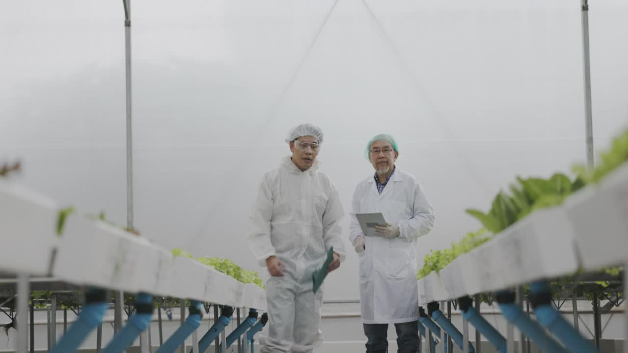 身穿制服的亚洲科学家团队正在测试水培蔬菜的质量达到良好标准。分析蔬菜生长的研究。食品科学技术。大型食品行业