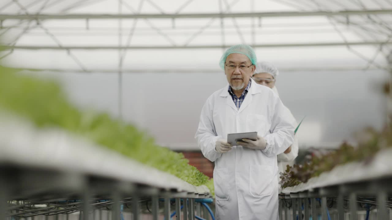 身穿制服的亚洲科学家团队正在测试水培蔬菜的质量达到良好标准。分析蔬菜生长的研究。食品科学技术。大型食品行业