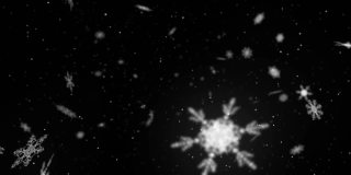 动画的网络连接和雪落在黑色的背景