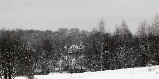 冬天的城市公园。地上有雪堆，树上有雪冠。雪从树上飘落下来。