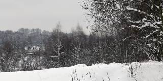 冬天的城市公园。地上有雪堆，树上有雪冠。雪从树上飘落下来。