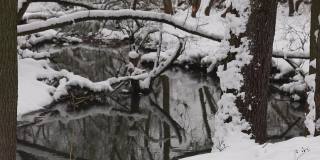 这条河在冬天的城市公园里。树上有雪帽。雪从树上飘落下来。特写镜头。