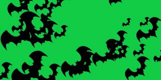 万圣节蝙蝠-万圣节概念-循环-成百上千的蝙蝠向上冲-万圣节-杰克O灯笼-万圣节飞行蝙蝠无限循环-蝙蝠循环-绿色背景-黑色- А蝙蝠群