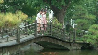 女孩们穿着汉服，在公园喂锦鲤。视频素材模板下载