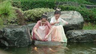 女孩们穿着汉服，在公园喂锦鲤。视频素材模板下载
