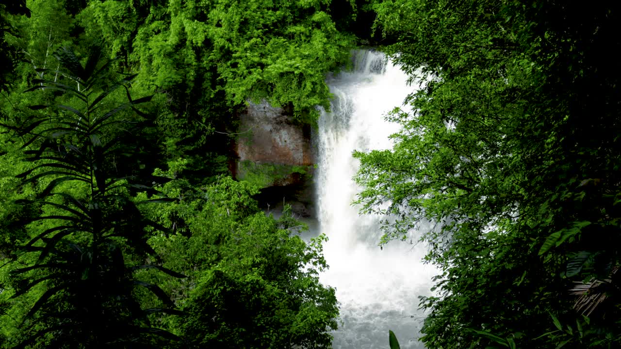 瀑布溪流在绿色的森林
