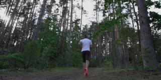 男运动员在松林跑道上跑步。
