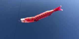 鱼风筝在日内瓦湖上空飞翔
