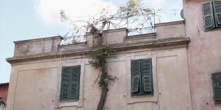 意大利小城市的传统老建筑外立面，石板建筑外立面，破旧的百叶窗上长满了盛开的植物灌木，沿着建筑墙壁向太阳升起。意大利村庄的历史中世纪建筑正面