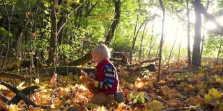 一个小男孩在阳光明媚的秋天漫步在森林里。孩子在玩枫叶。和家人一起享受大自然。和小孩子一起徒步旅行。