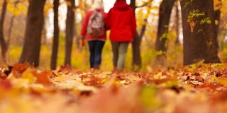 特写镜头是一个人穿着靴子在秋天的森林里走在黄叶上。