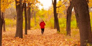 迷人的女运动员穿着鲜艳的运动服和运动鞋在秋天的公园跑步。训练和运动
