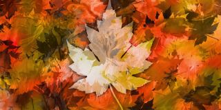 绘画般的秋天色彩与树叶的轮廓。