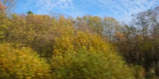汽车在道路上飞驰，穿过秋天的田野和森林。通过汽车的侧窗在道路上运动。旅游与旅行，旅行与旅行的概念。美丽的自然和风景。阳光明媚的天气。