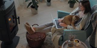 一个年轻的女人在用笔记本电脑，坐在壁炉旁的扶手椅上，抚摸着一只姜黄色的家猫。远程办公，工作时间灵活