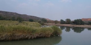平静的水库内尼河与芦苇和树木的倒影在低水位航拍视频