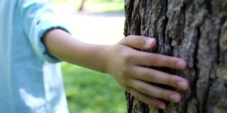 孩子抱着一棵心形的树