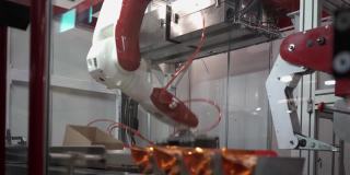 说明:现代机器人机械手在输送线上的食品生产
