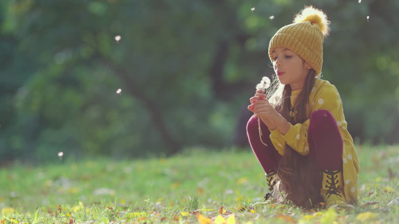 美丽的小女孩在秋天公园吹蒲公英花。希望，梦想，户外游戏时间