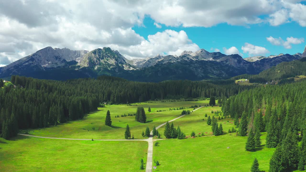 鸟瞰图的国家沥青公路在山与松林在杜米托，黑山。无人机飞过松树和山间小路。