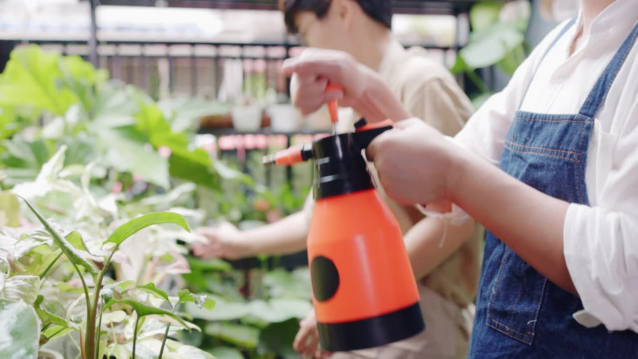快乐微笑的亚洲女园丁浇水喷雾喷雾植物在家庭花园如卡拉，仙人掌。24、爱护树木，让树木长得美丽。出口林木种植业务。家庭休闲活动