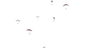 一群滑翔伞在白色的天空背景下飞行