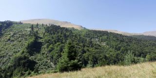 马其顿沙尔山的田野和山景