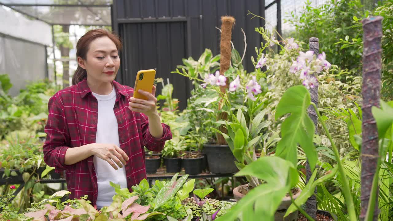 4K亚洲女植物商店老板在智能手机上直播盆栽为在线商店
