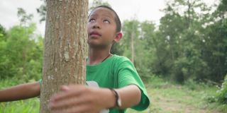 森林里的孩子拥抱着树。地球日。