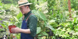 4K亚洲男人植物店店主描述顾客在店里挑选盆栽