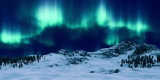 夜空中的北极光笼罩着荒凉的冬天