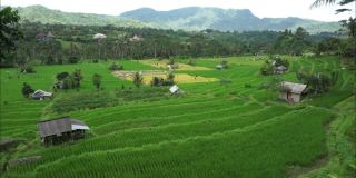 从别墅高清视频观看稻田和小山。巴厘岛Karangasem偏远的塞德门的自然美景。巴厘岛风景视频。