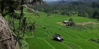 从别墅高清视频观看稻田和小山。巴厘岛Karangasem偏远的塞德门的自然美景。巴厘岛风景视频。无人机视频